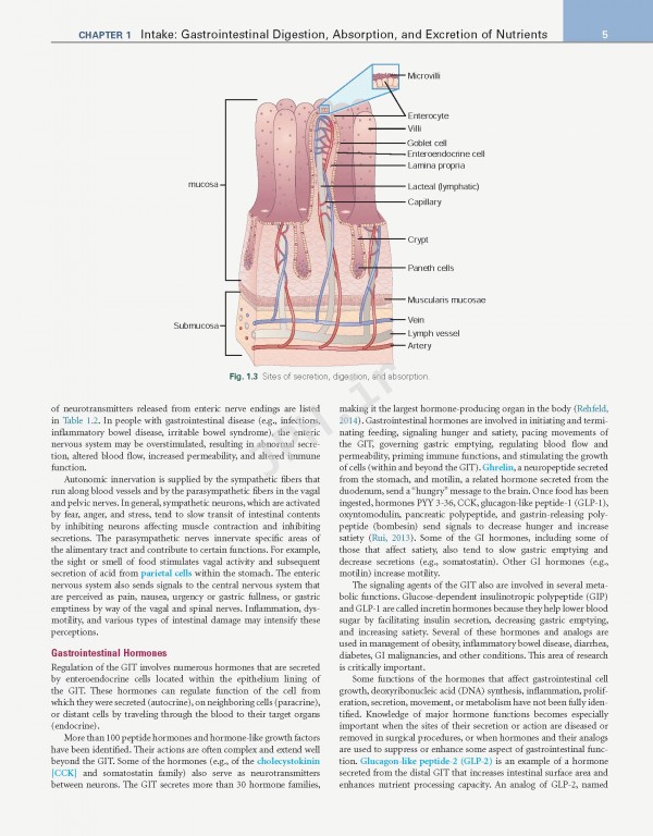 اصول تغذیه و رژیم درمانی کراوس2021 | Krause and Mahan's Food & the Nutrition Care Process 15th edition