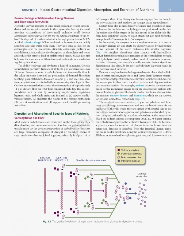 اصول تغذیه و رژیم درمانی کراوس2021 | Krause and Mahan's Food & the Nutrition Care Process 15th edition