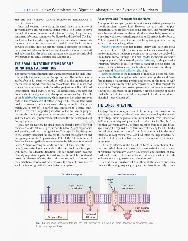 اصول تغذیه و رژیم درمانی کراوس2021 | Krause and Mahan's Food & the Nutrition Care Process 15th edition