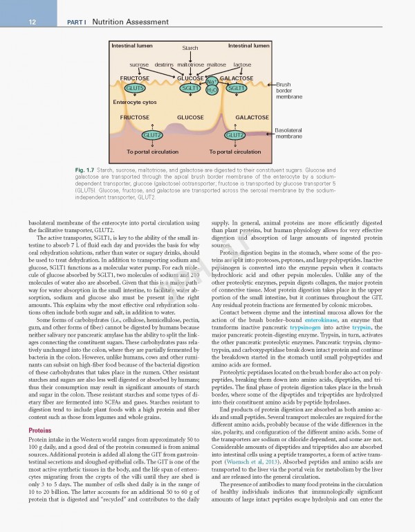 اصول تغذیه و رژیم درمانی کراوس2021 | Krause and Mahan's Food & the Nutrition Care Process 15th edition
