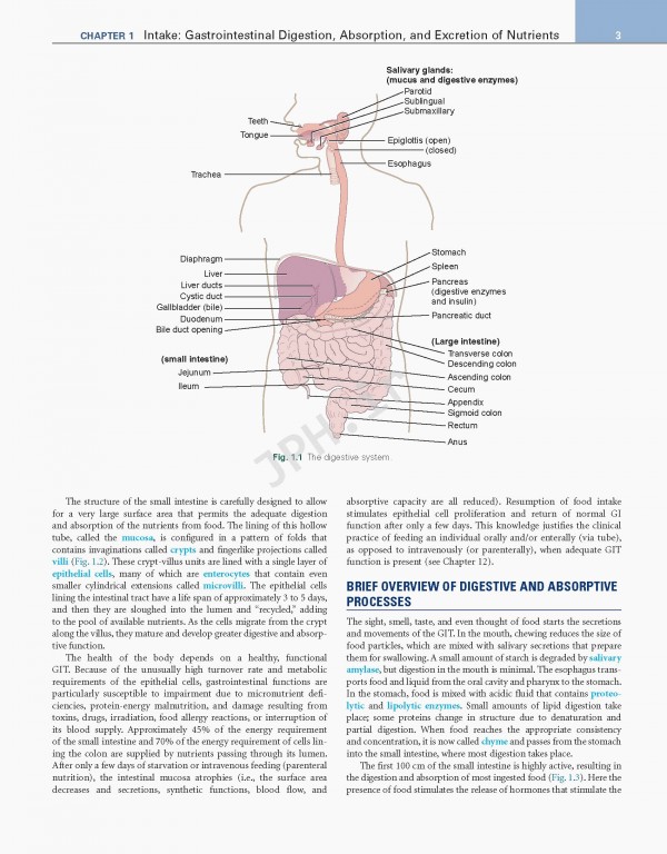 اصول تغذیه و رژیم درمانی کراوس2021 | Krause and Mahan's Food & the Nutrition Care Process 15th edition