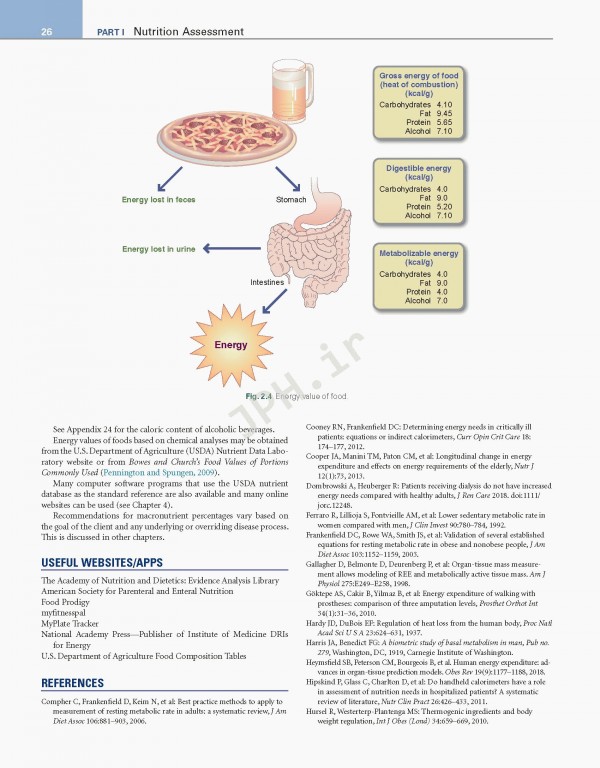 اصول تغذیه و رژیم درمانی کراوس2021 | Krause and Mahan's Food & the Nutrition Care Process 15th edition