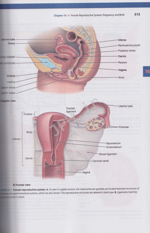 راهنمای جامع ترمینولوژی کوهن 2021 دوسویه فارسی انگلیسی همراه با DVD