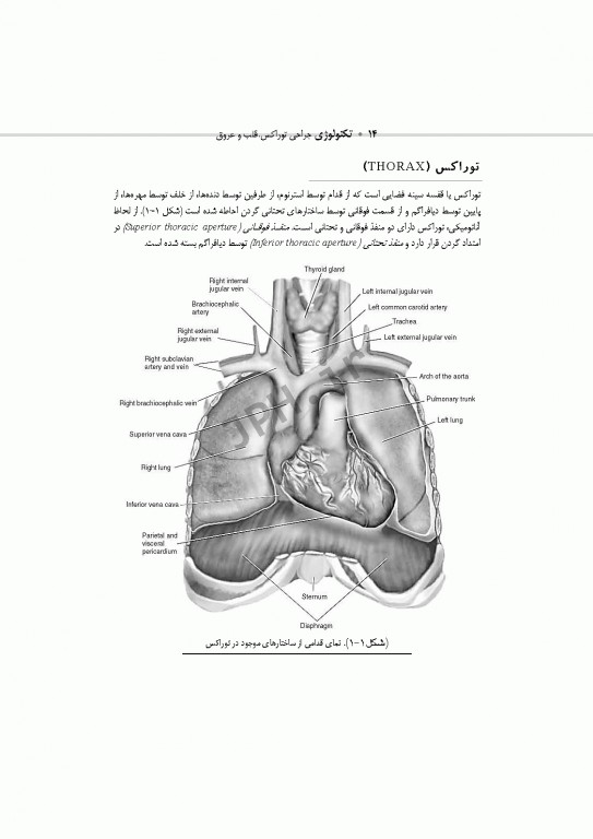 تکنولوژی جراحی توراکس قلب و عروق
