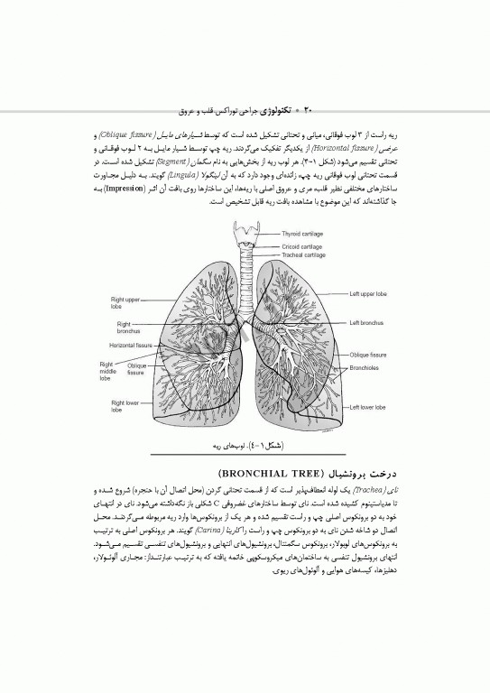 تکنولوژی جراحی توراکس قلب و عروق