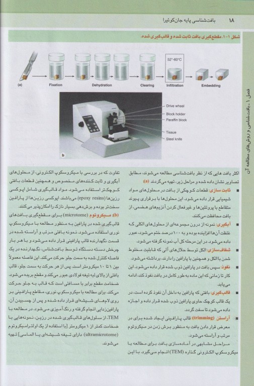 بافت‌شناسی پایه جان کوئیرا 2024 دکتر رضا شیرازی جلد هارد