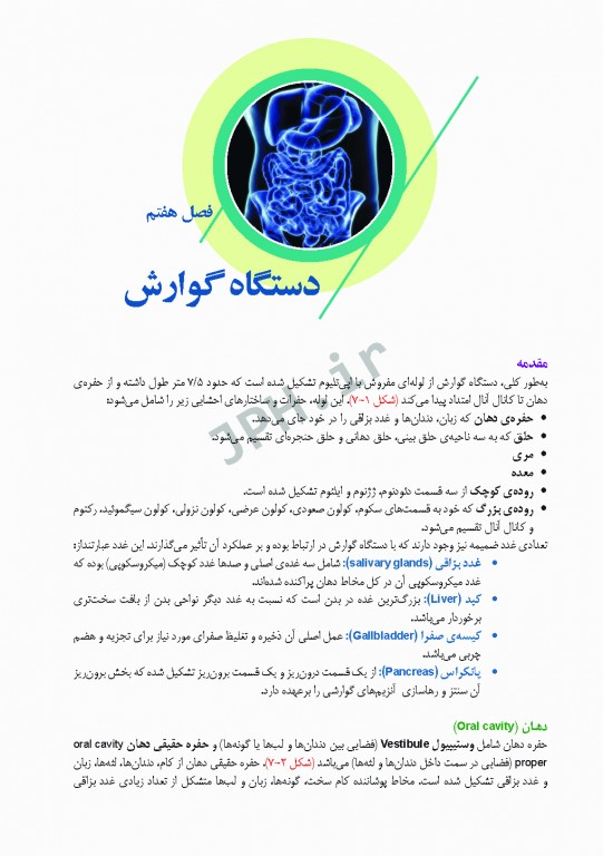 آناتومی برای دانشجویان اتاق عمل با رویکرد بالینی و جراحی جلد دوم