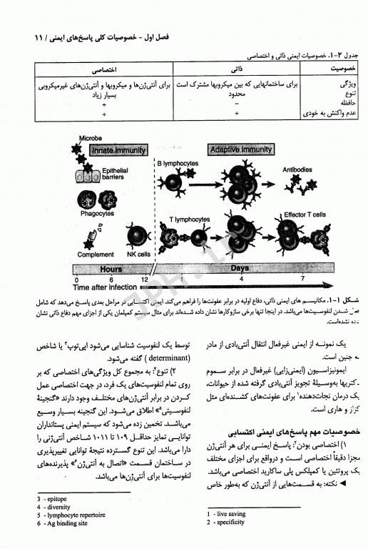 مجموعه ضروریات و آزمون‌‎های مراجع علوم پایه 2E ایمونولوژی سلولی و مولکولی ابوالعباس
