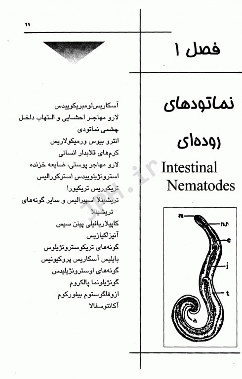 مجموعه ضروریات و آزمون‌‎های مراجع علوم پایه 2E اصول انگل‌شناسی براون، نوا، مارکل و ریپون