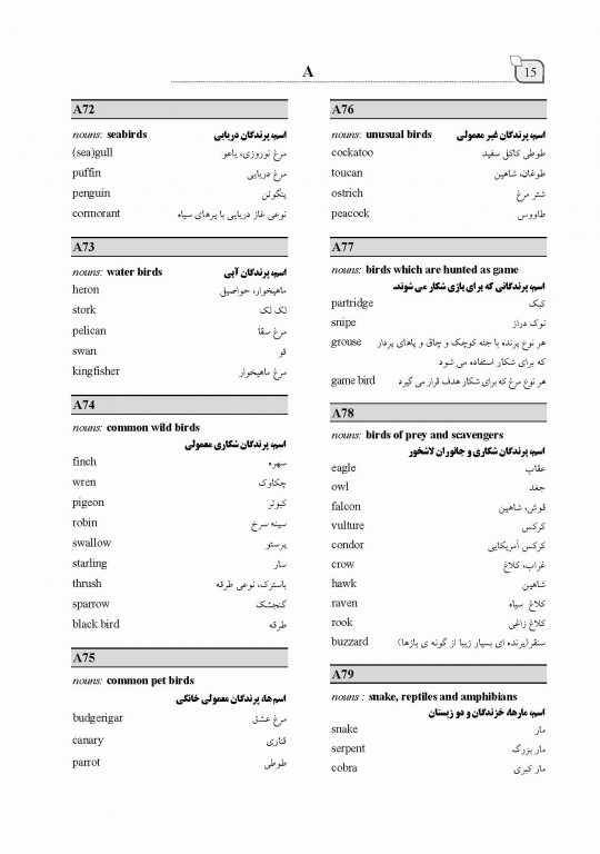 فرهنگ جیبی انگلیسی فارسی ایران ما