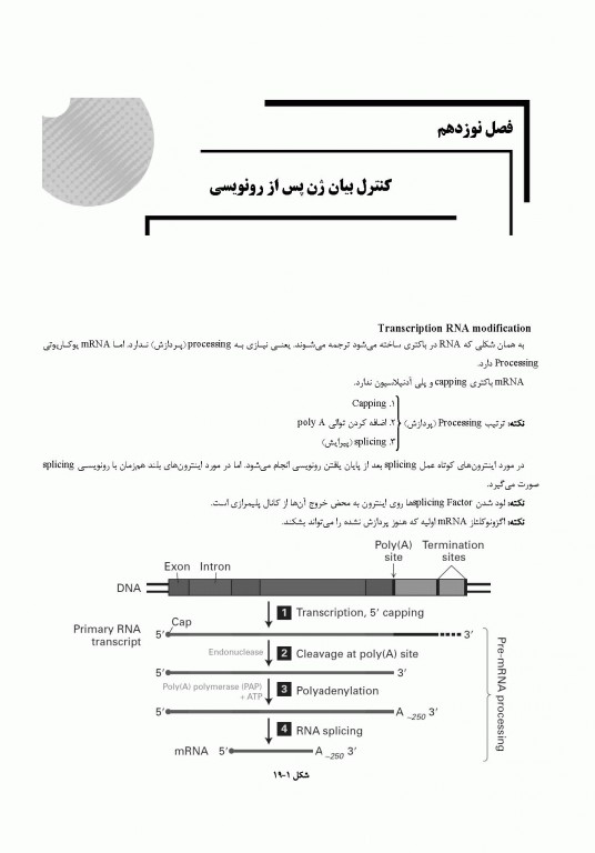 میانبر الگوریتم زیست شناسی سلولی و مولکولی