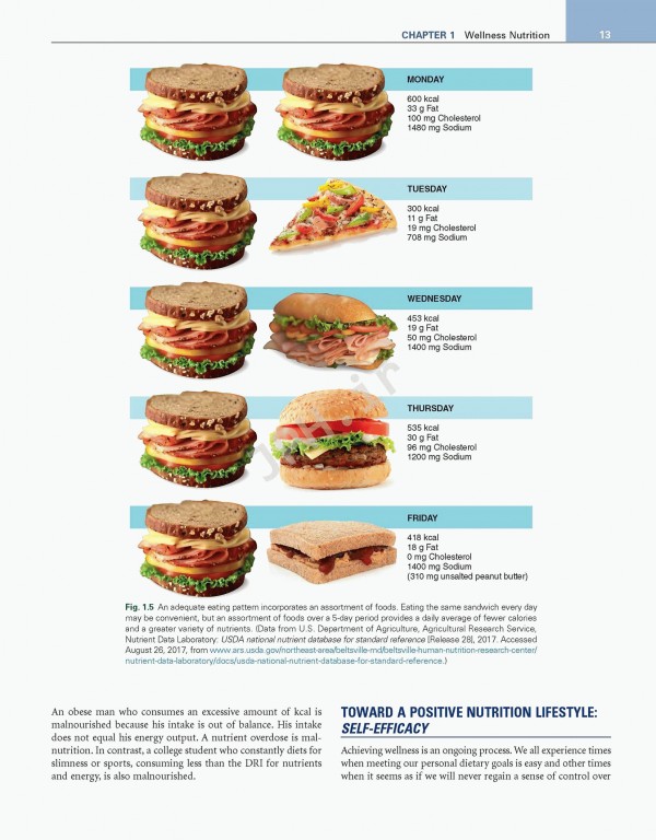 مبانی تغذیه‌ و کاربردهای بالینی: رویکرد پرستاری | Nutritional Foundations and Clinical Applications 2020