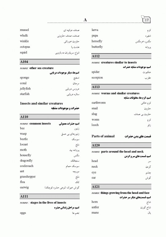 فرهنگ جیبی انگلیسی فارسی ایران ما