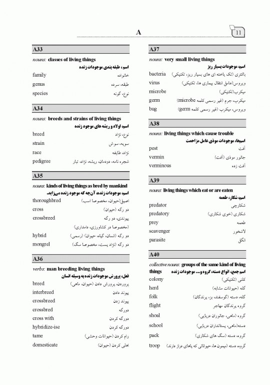 فرهنگ جیبی انگلیسی فارسی ایران ما