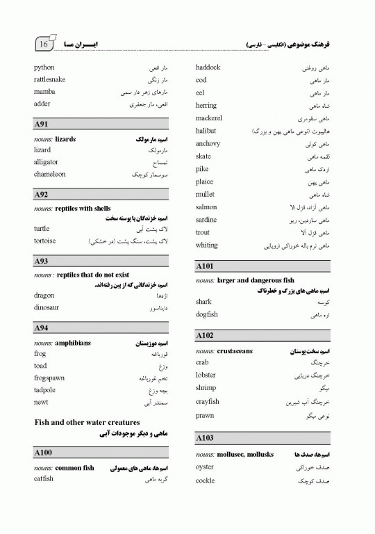 فرهنگ جیبی انگلیسی فارسی ایران ما