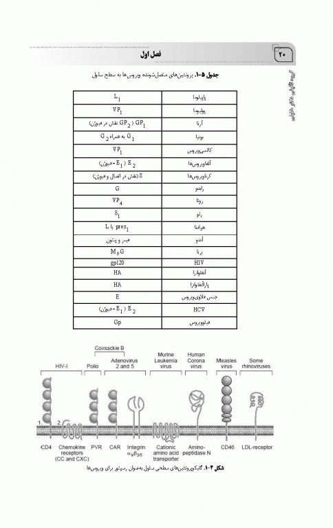جامع ویروس‌شناسی پزشکی
