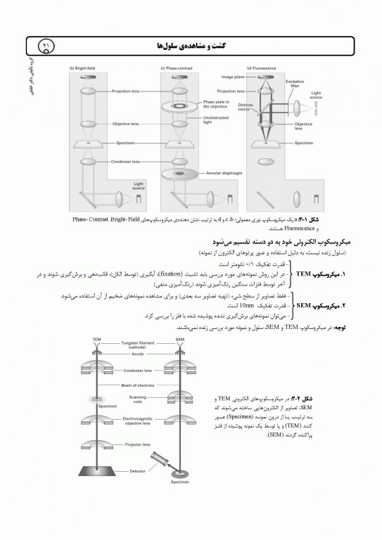 میانبر الگوریتم زیست شناسی سلولی و مولکولی