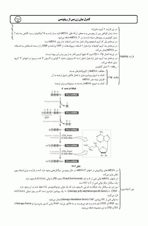 میانبر الگوریتم زیست شناسی سلولی و مولکولی
