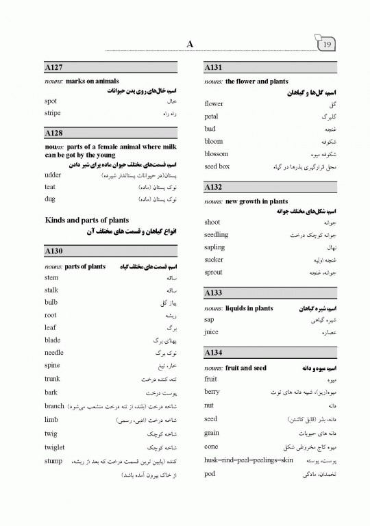 فرهنگ جیبی انگلیسی فارسی ایران ما