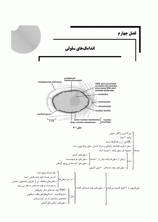 میانبر الگوریتم زیست شناسی سلولی و مولکولی
