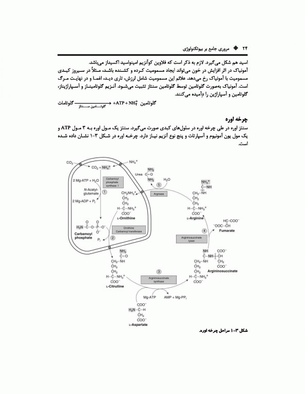 مروری جامع BCR بیوتکنولوژی ویژه دکتری