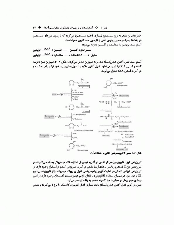 مروری جامع BCR بیوتکنولوژی ویژه دکتری