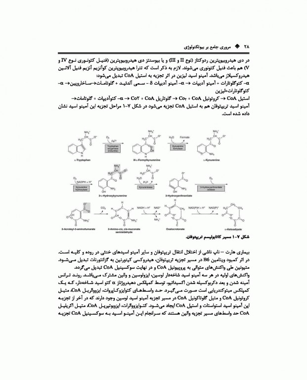 مروری جامع BCR بیوتکنولوژی ویژه دکتری