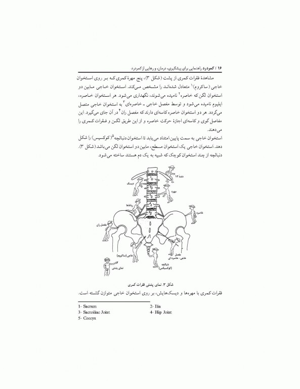 پیشگیری، درمان و رهایی از کمردرد