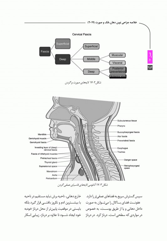 خلاصه کتاب Book Brief جراحی نوین فک و صورت پیترسون 2019