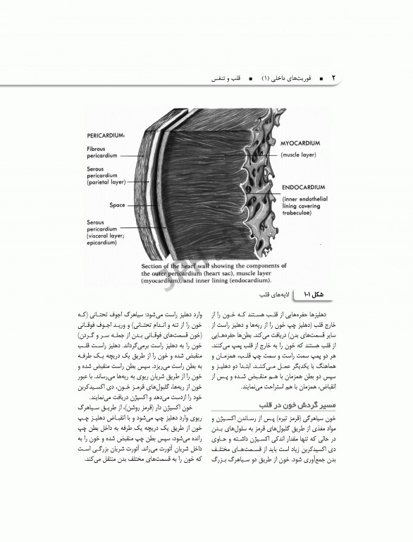 فوریت‌های داخلی1 قلب و تنفس