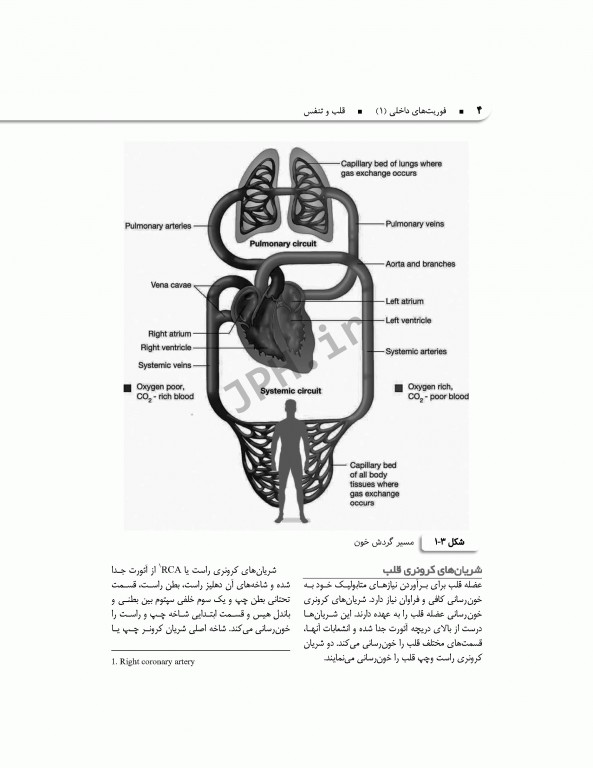 فوریت‌های داخلی1 قلب و تنفس
