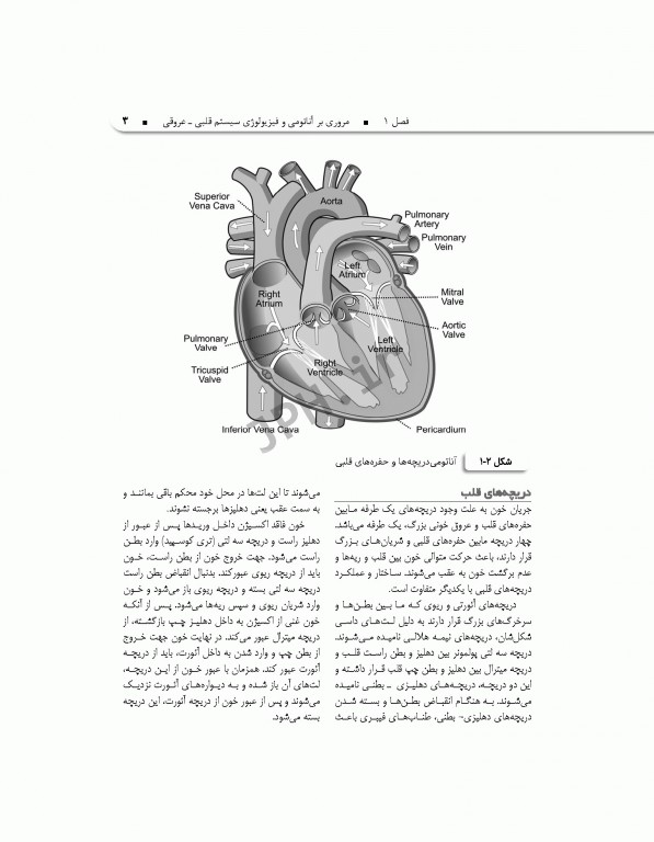 فوریت‌های داخلی1 قلب و تنفس