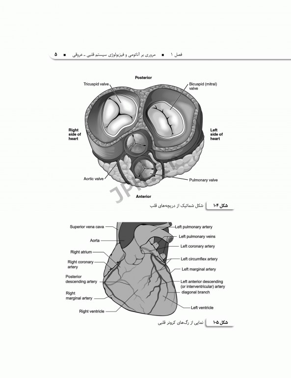 فوریت‌های داخلی1 قلب و تنفس