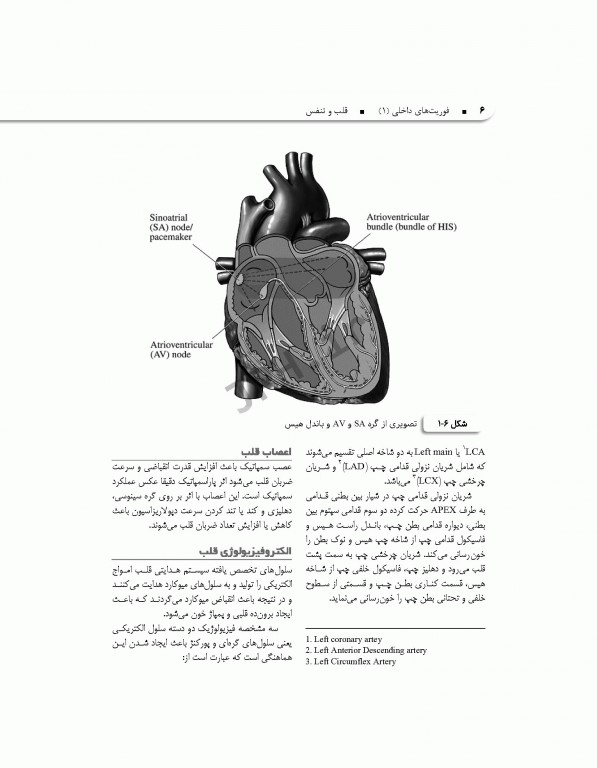 فوریت‌های داخلی1 قلب و تنفس
