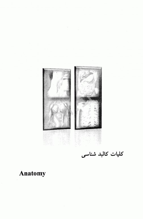 آناتومی در مهندسی پزشکی جهاد دانشگاهی