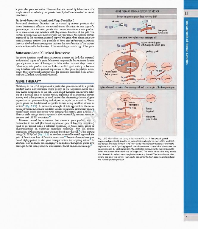 چشم پزشکی یانوف ویراست پنجم | Ophthalmology 2019