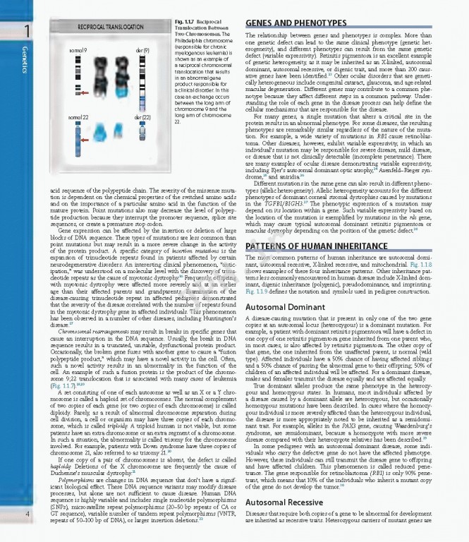 چشم پزشکی یانوف ویراست پنجم | Ophthalmology 2019