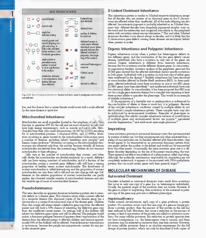 چشم پزشکی یانوف ویراست پنجم | Ophthalmology 2019