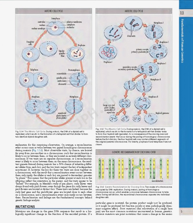 چشم پزشکی یانوف ویراست پنجم | Ophthalmology 2019