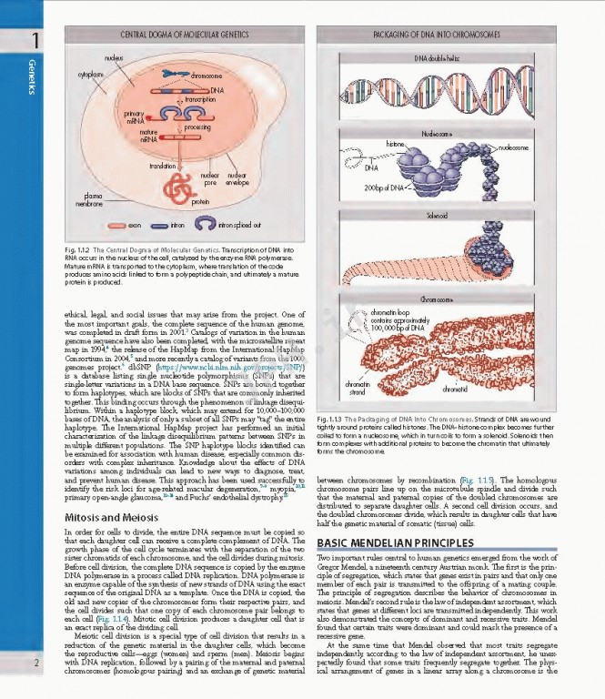 چشم پزشکی یانوف ویراست پنجم | Ophthalmology 2019