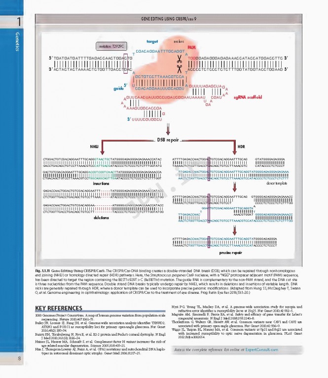 چشم پزشکی یانوف ویراست پنجم | Ophthalmology 2019