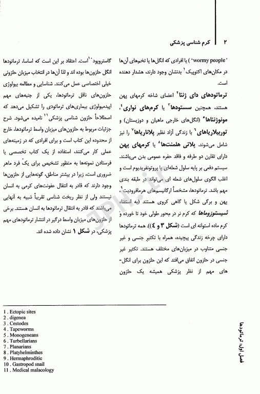 کرم شناسی پزشکی مولر