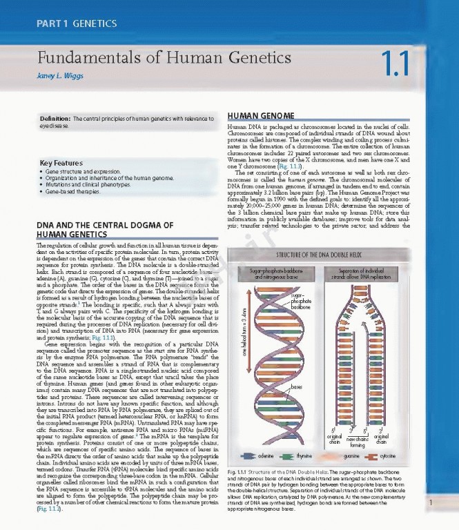 چشم پزشکی یانوف ویراست پنجم | Ophthalmology 2019