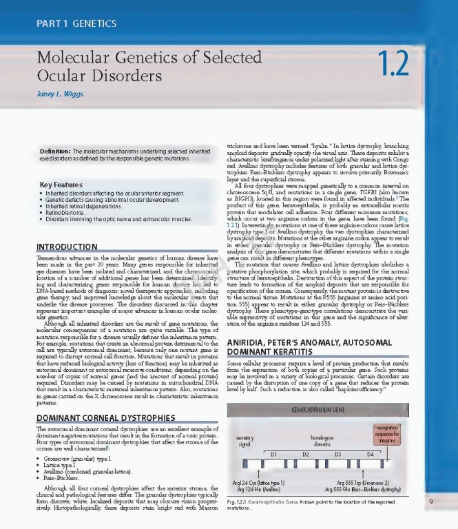 چشم پزشکی یانوف ویراست پنجم | Ophthalmology 2019