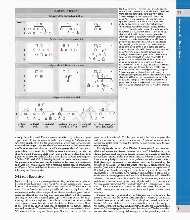 چشم پزشکی یانوف ویراست پنجم | Ophthalmology 2019