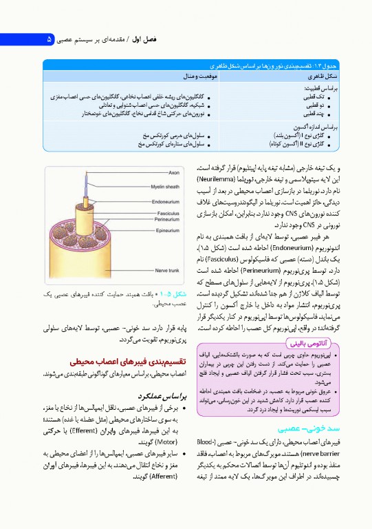 نوروآناتومی انسانی پایه و بالینی ایندر بیرسینگ 2018