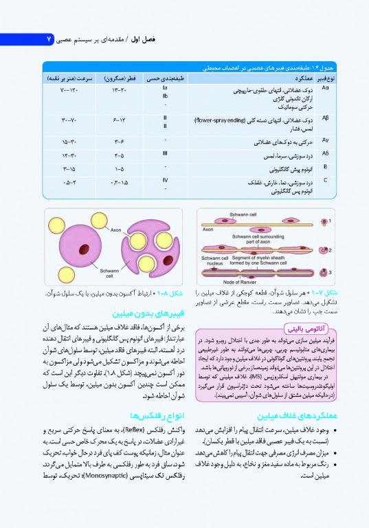 نوروآناتومی انسانی پایه و بالینی ایندر بیرسینگ 2018