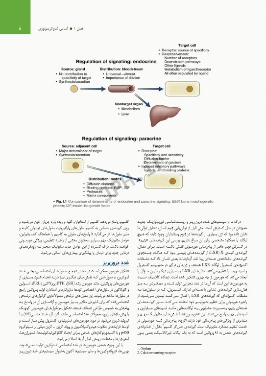 درسنامه اندوکرینولوژی ویلیامز 2020 جلد1 هورمون‌ها و عملکرد هورمون
