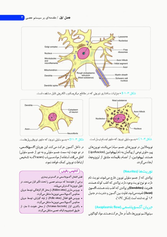 نوروآناتومی انسانی پایه و بالینی ایندر بیرسینگ 2018