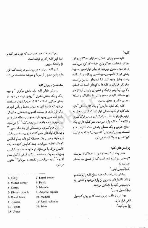 اصول مراقبت‌های پرستاری ویژه در بخش پیوند کلیه